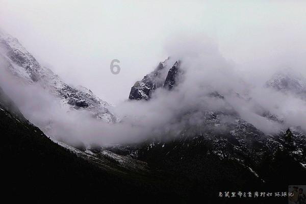 为什么会有人那么讨厌吃香菜?知识星球-专注于提供优质知识资源