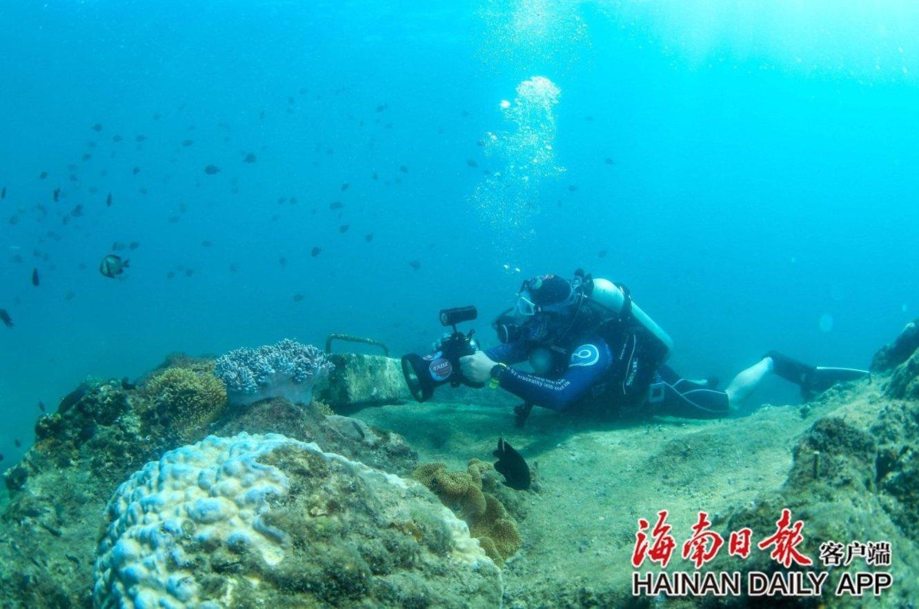 召唤神龙万宁版祖龙